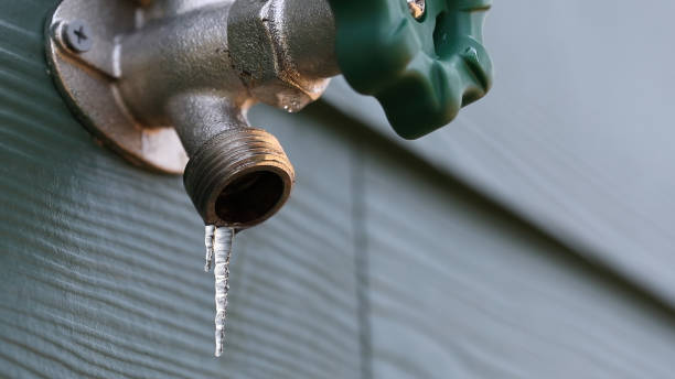 Best Leak Detection Services  in Plainview, TN